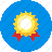 TeamRaiser Achievement Badge